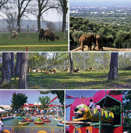zoosafari fasanolandia