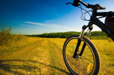 bicicletta sport