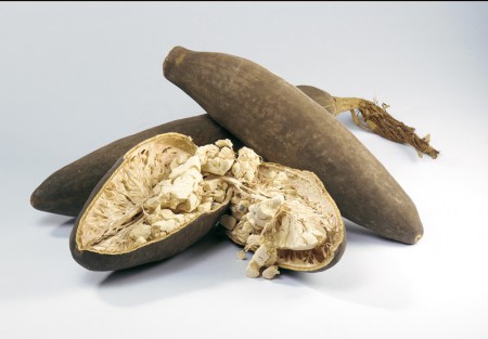 frutto baobab