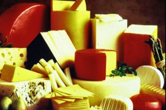 danimarca fat tax