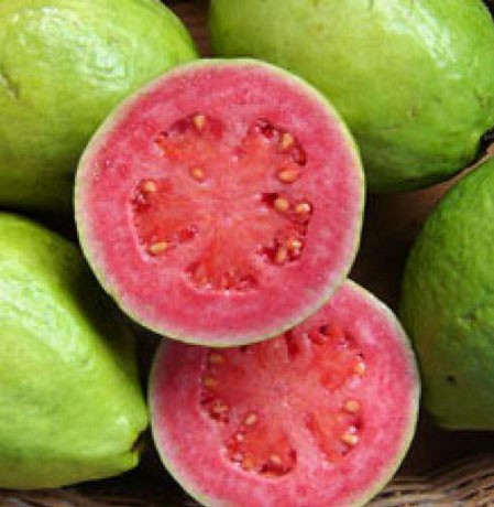 guava