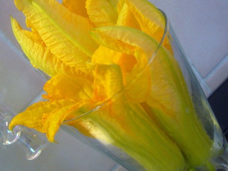 fiori di zucca ripieni