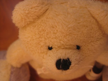 Idee regalo fai da te per San Valentino 2012, un orsacchiotto che parla d’amore