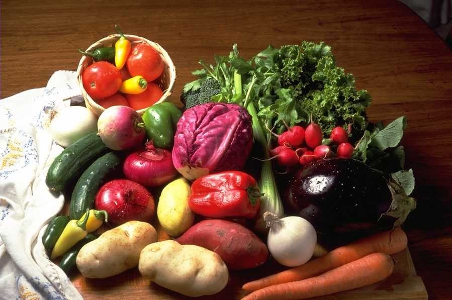 dieta bodysense