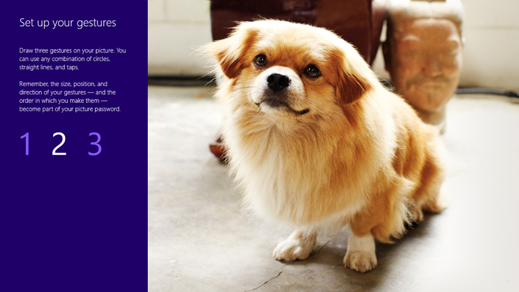 windows 8 picture password