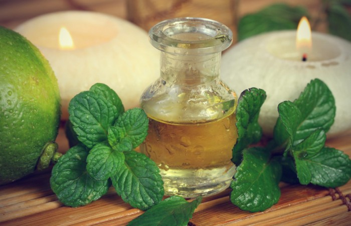 Repellente zanzare naturale