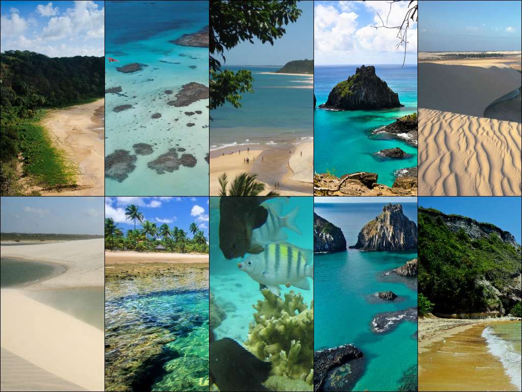 Spiagge in Brasile