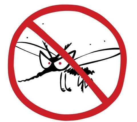Allergia alle punture di zanzare