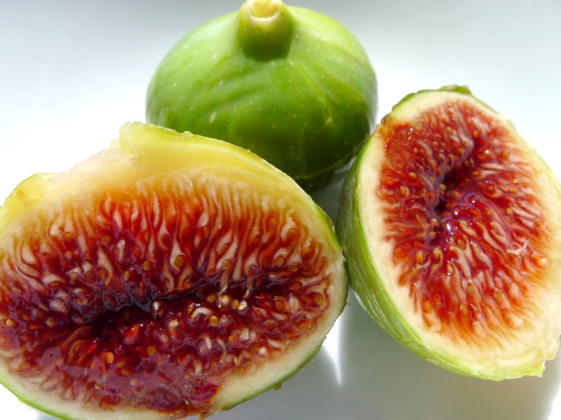 Fichi