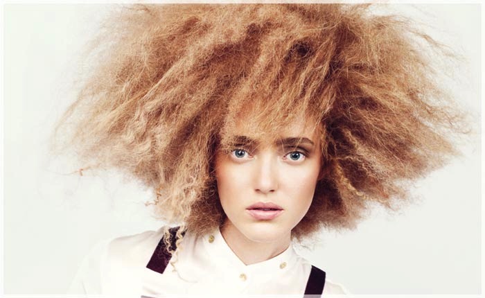 capelli secchi crespi_0_ante