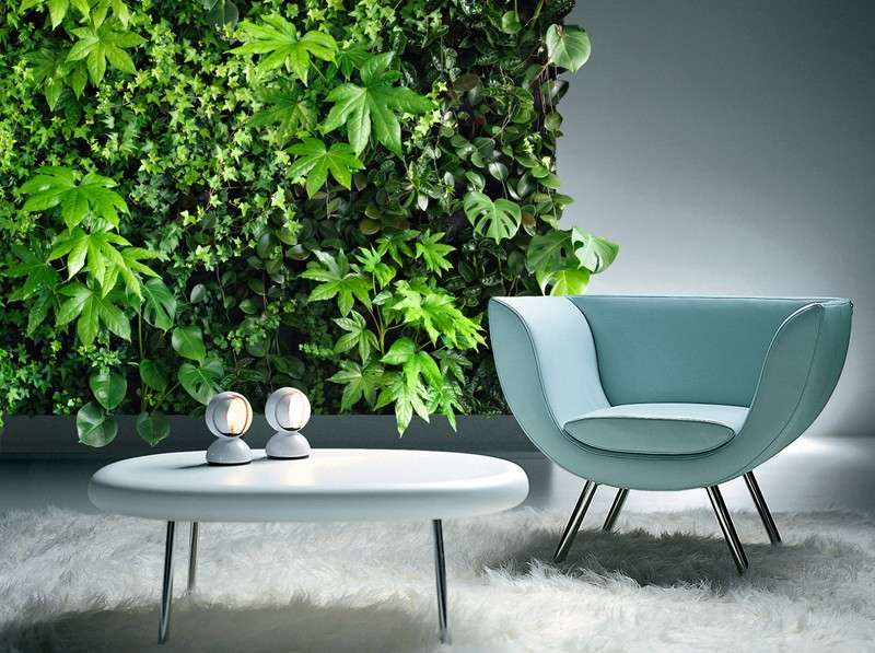 Piante per arredare casa con stile