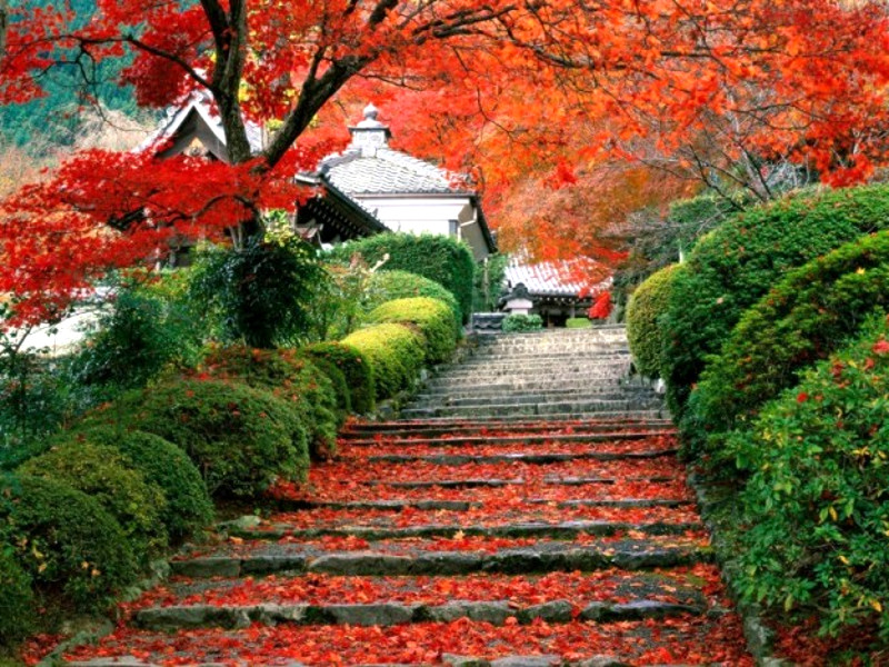 Giardino giapponese