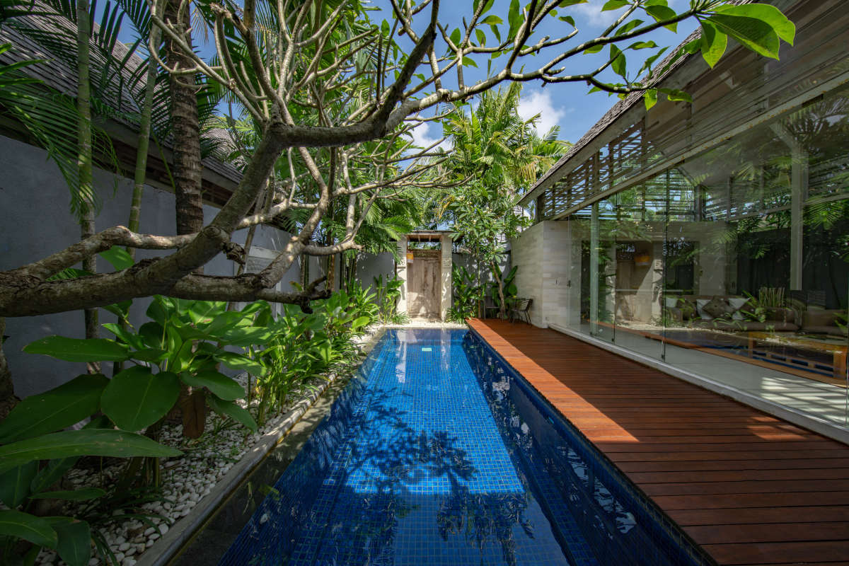 Piscina in un giardino con piante tropicali