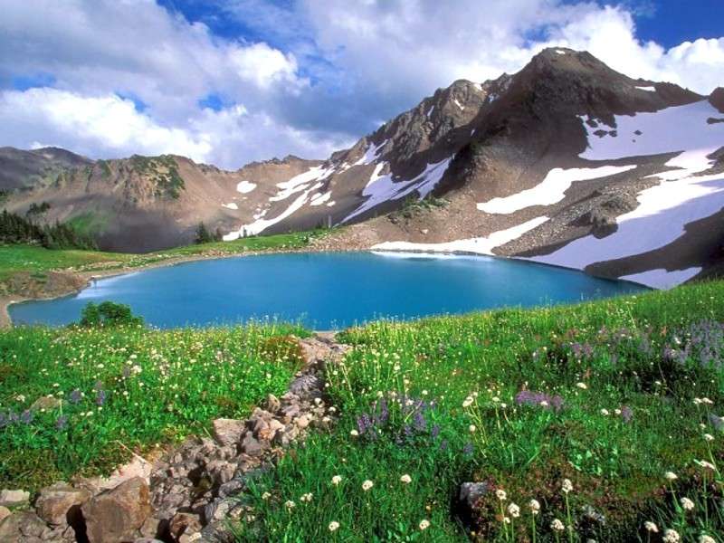 Olympic National Park USA