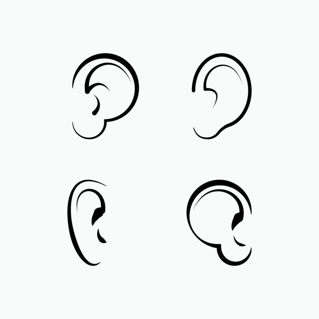Le orecchie