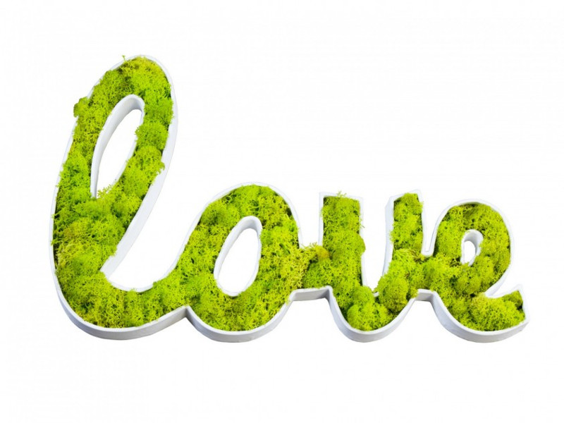 San Valentino regalo love