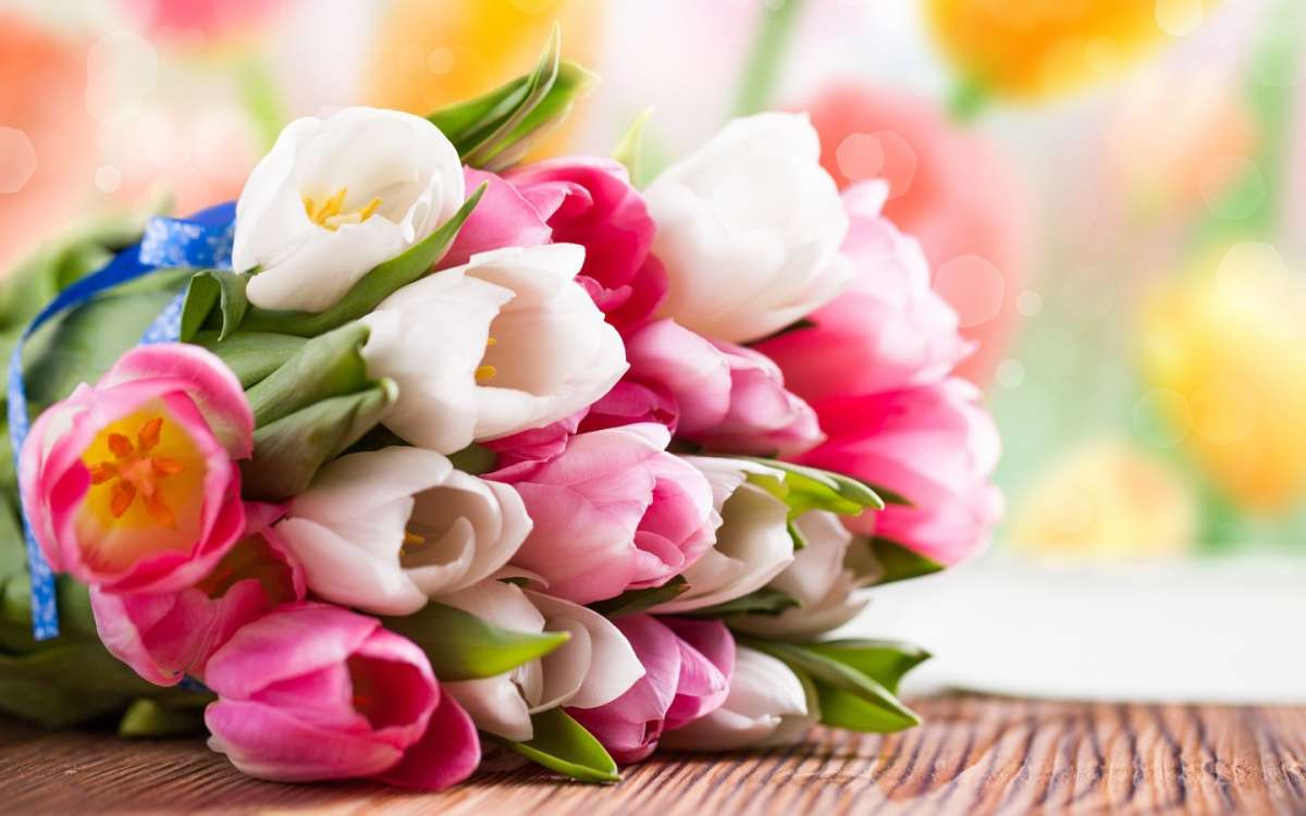 Romantici tulipani per la sposa