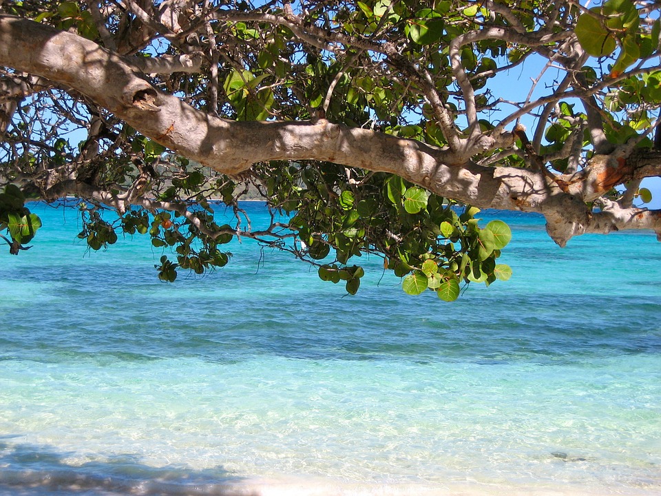 Barbados, Caraibi