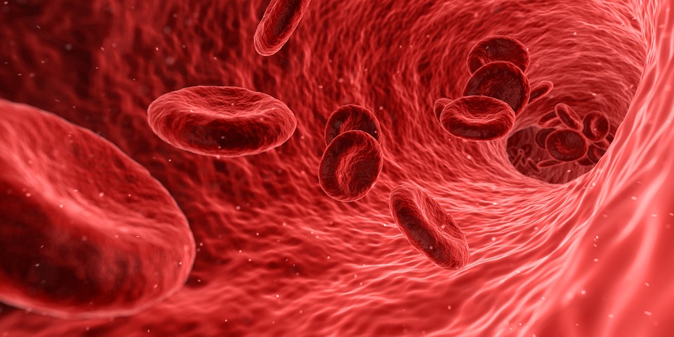 blood 1813410_960_720