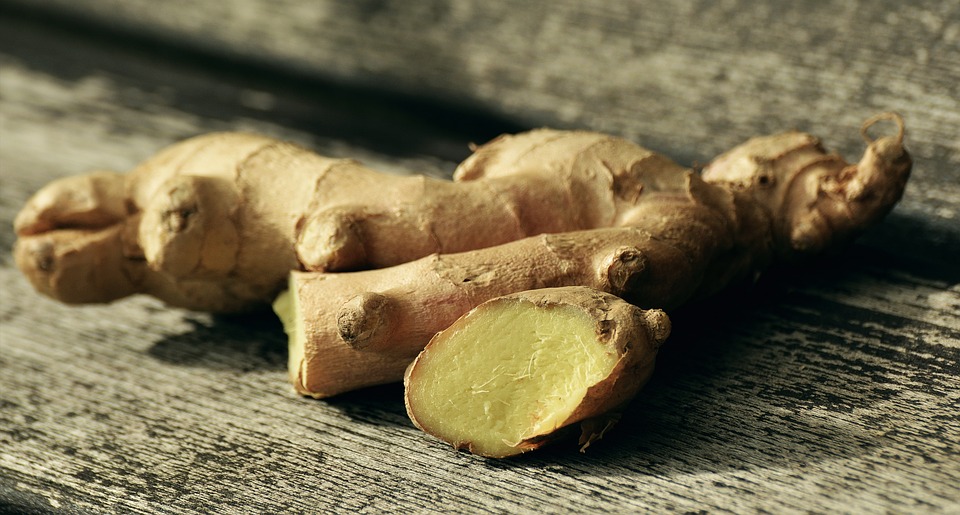 allergiagraminacee1