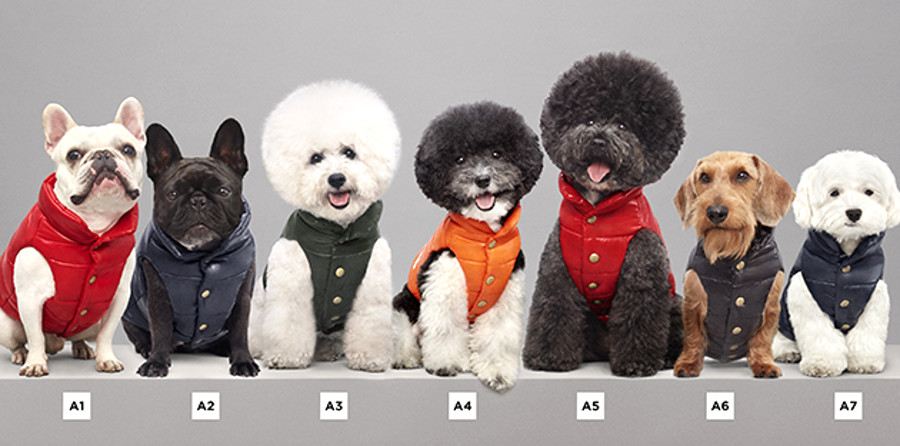 Piumini Moncler: lanciata una linea anche per cani