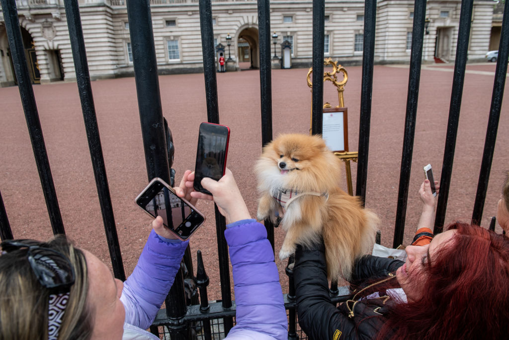 Folla riunitasi davanti a Buckingham Palace per l'annuncio del nuovo Royal Baby Archie