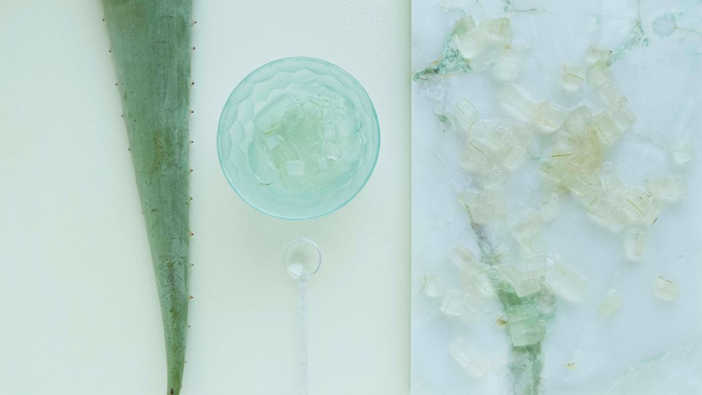 aloe vera