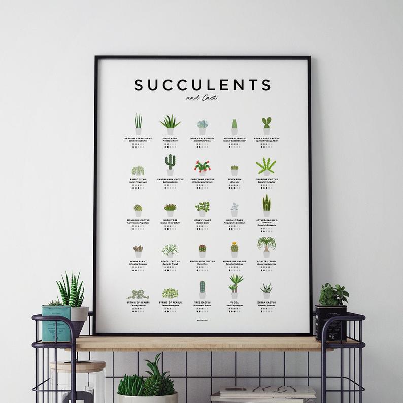 stampa succulente