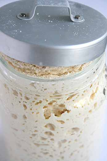 Lievito naturale fatto in casa come conservarlo