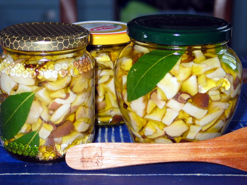 Ricetta funghi sott'aceto