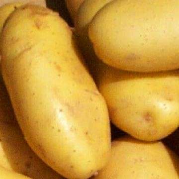 patate ripiene