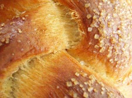 scorza pane