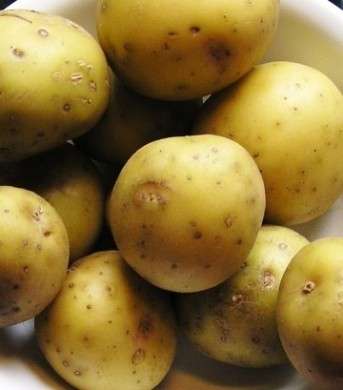 Patate novelle