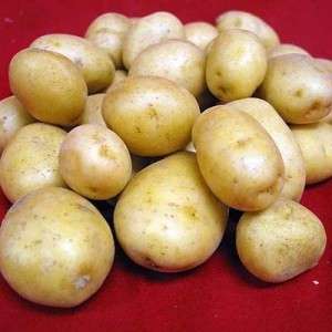 Patate