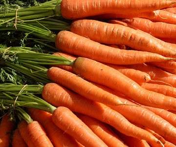 Ricetta carote