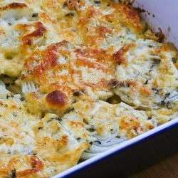 cipolle al gratin