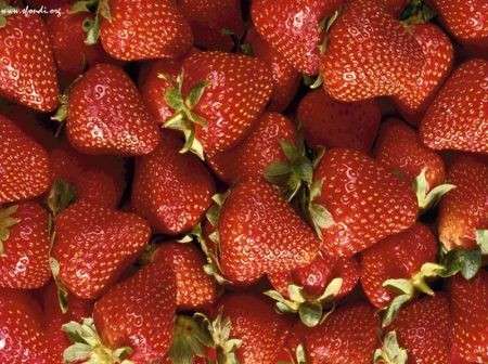 fragole