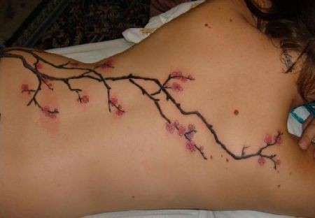 Tatuaggio con fiore di ciliegio