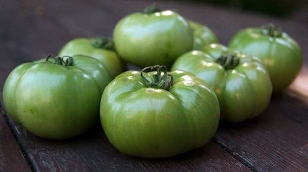 Pomodori verdi da insalata