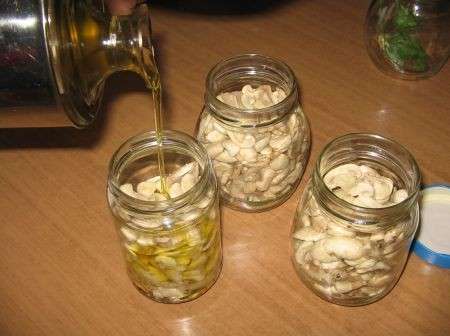 preparazione vasetti funghi sott'olio