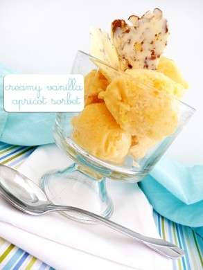 Sorbetto albicocche ricetta