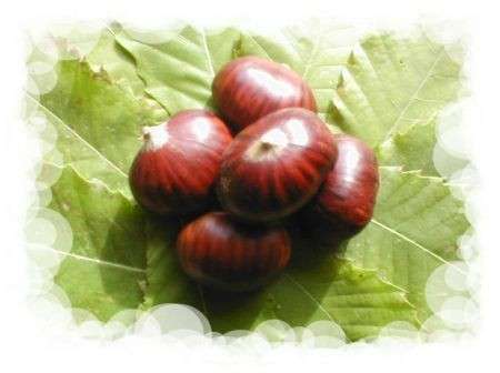 castagne