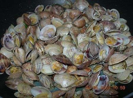 vongole