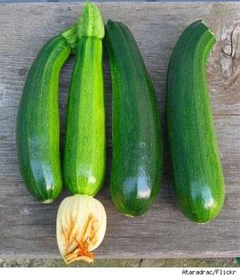 Zucchine fresche