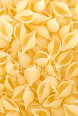 conchiglie pasta