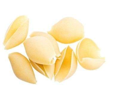 pasta conchiglie