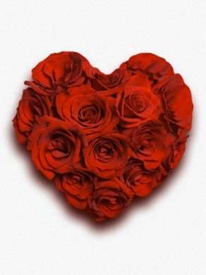 cuore rose rosse