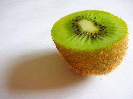 kiwi