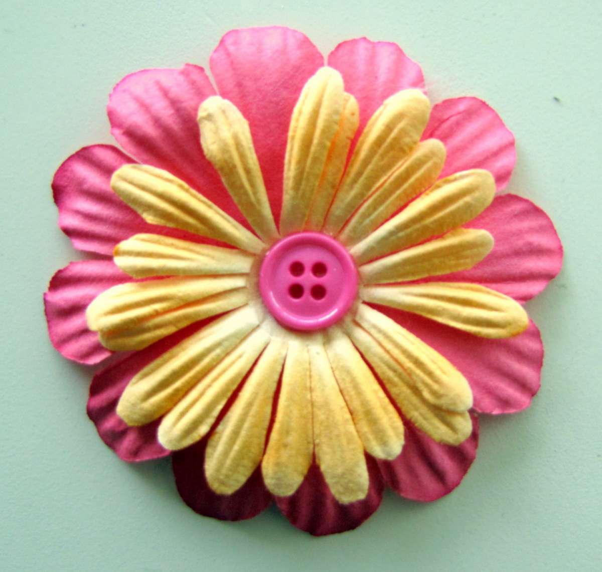 Margherita gialla con bottone rosa