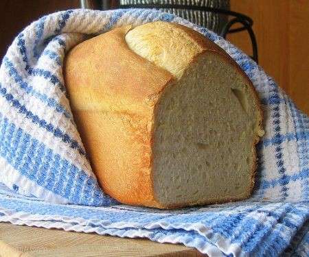 Pane di kamut